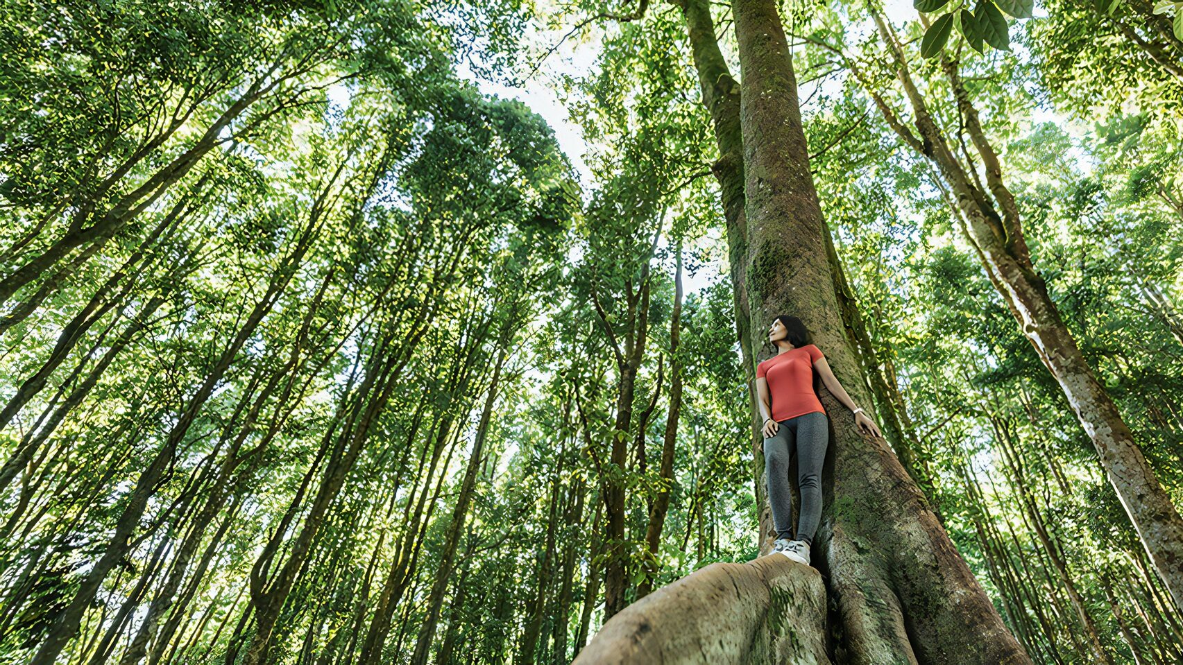 Forest Living at Lodha Woods