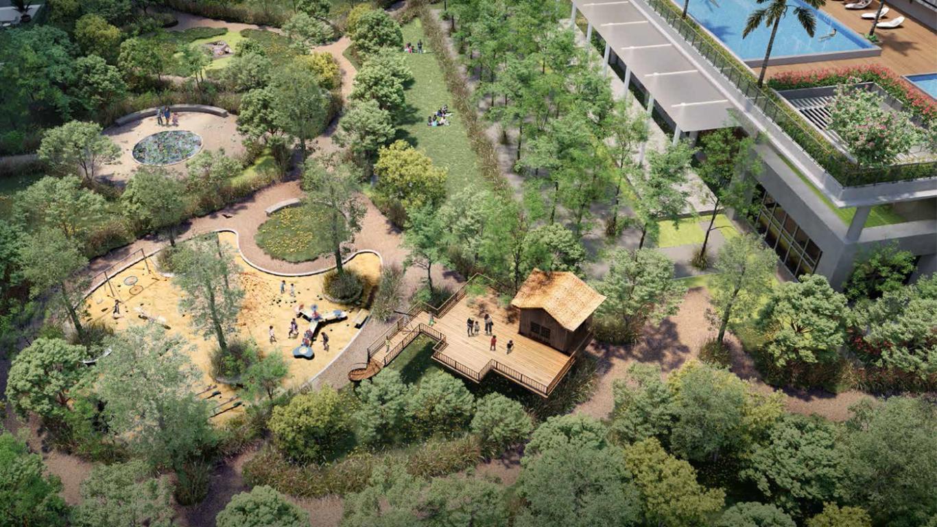 Aerial View with Tree House